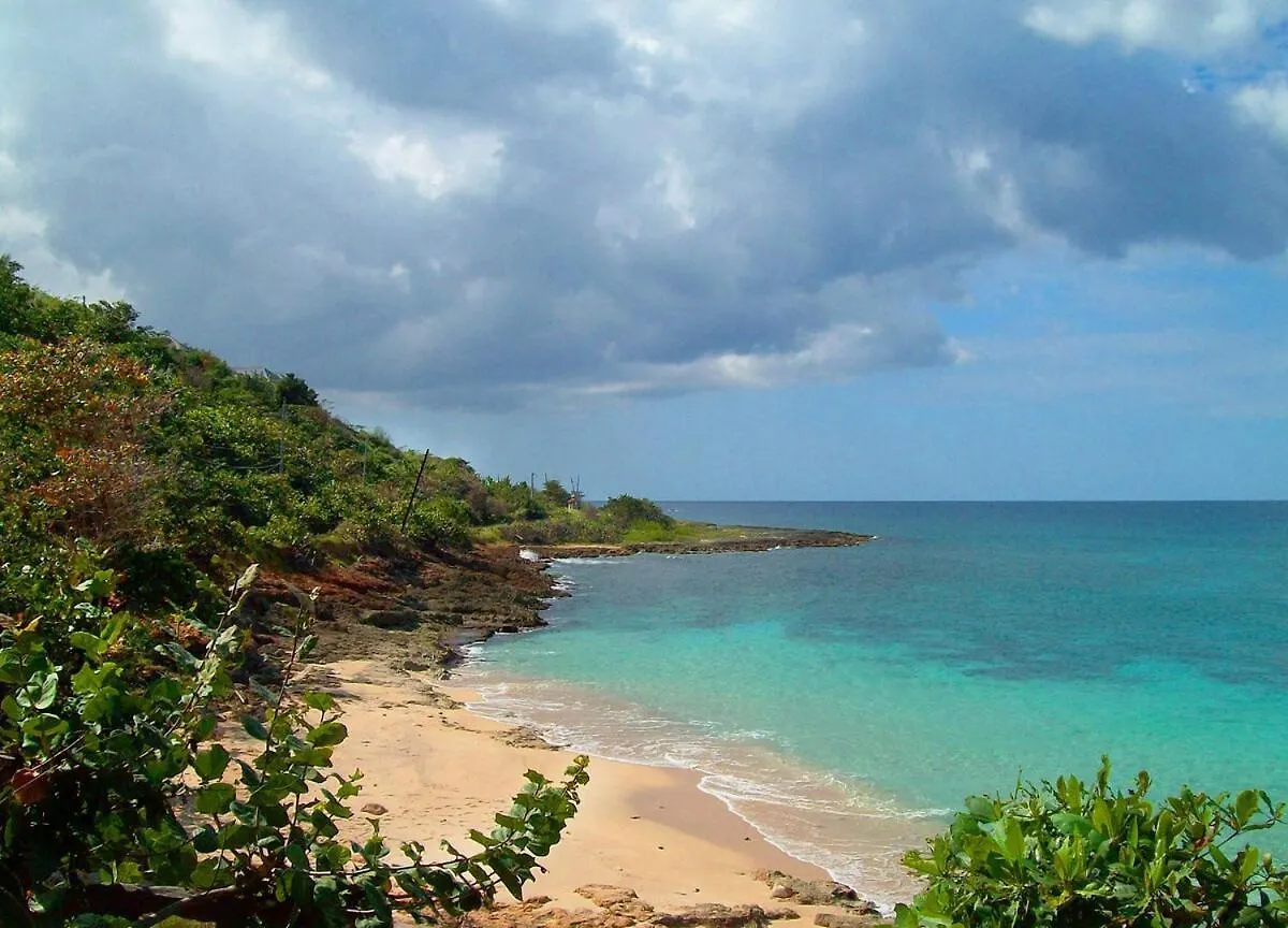Charming 5-Bedroom Rustic Villa Steps From A Private Beach Lucea